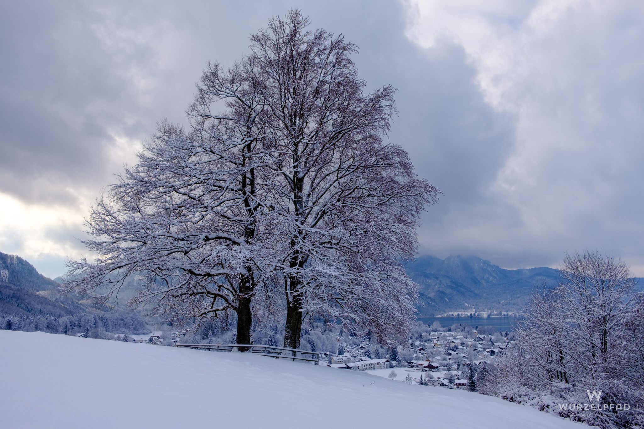 Franz Marc sein Platzerl